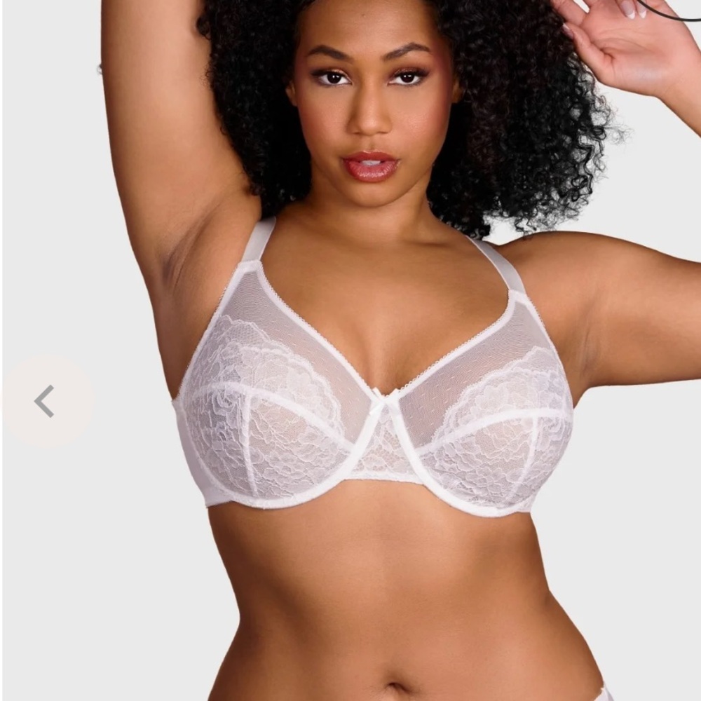 BOGO Sheer White Lace Bra Cardi B Rec) Unlined Non-Padded Underwire Bra 38DD